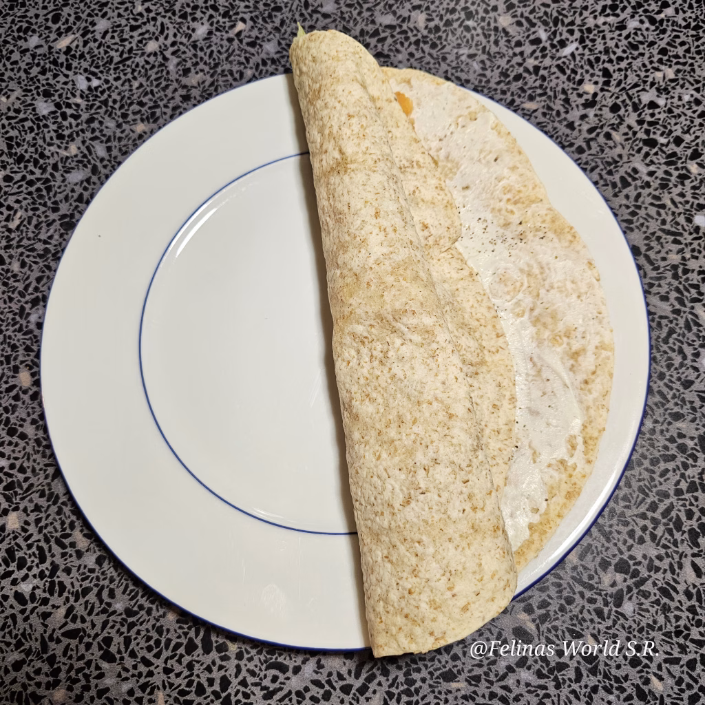 Lachs-wrap schnell und kalorienarm