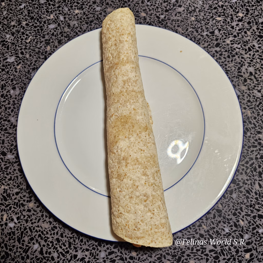 Lachs-wrap schnell und kalorienarm